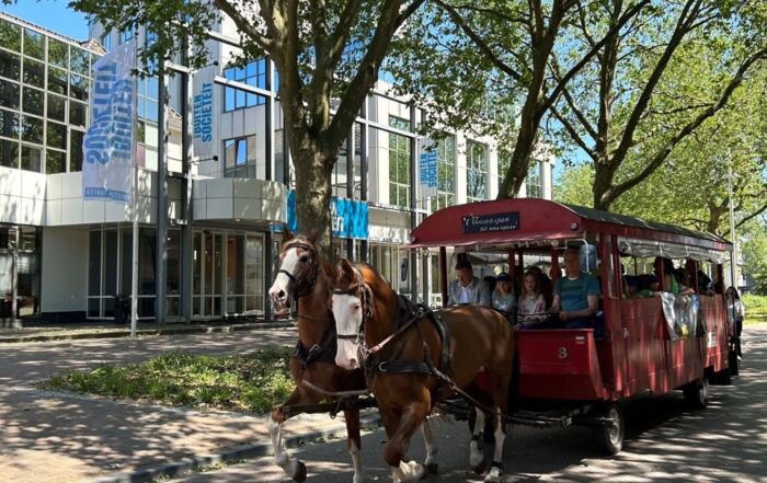 Paarden met koets voor de heropening van vernieuwing Oosterlaan & Westerlaan.