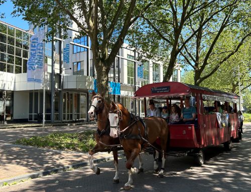 Vernieuwing Oosterlaan & Westerlaan